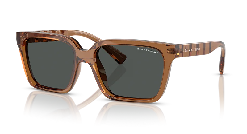 ARMANİ EXCHANGE 0AX4147S 835887 56*18*145 ERKEK GÜNEŞ GÖZLÜĞÜ