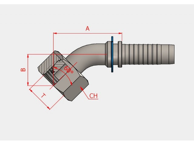 S-30711-25-16 BSP İÇE HAVŞA DÜZ HORTUM BAŞLIKLARI