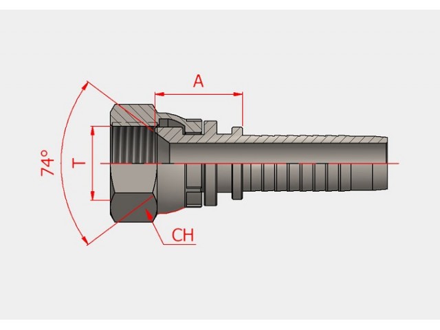 S-32511-04-04 WITHWORTH (J.I.C. 74°) DÜZ HORTUM BAŞLIKLARI