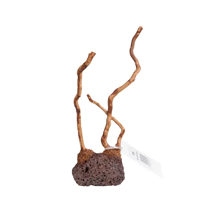 CHİCOS DOĞAL LAVTAŞI ZEMİN AHŞAP DALI AKVARYUM DEKORU 10CM