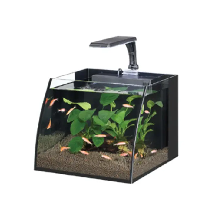 HAQOS BELLY BOX 30 AYDINLATMALI NANO AKVARYUM 16 LT SİYAH