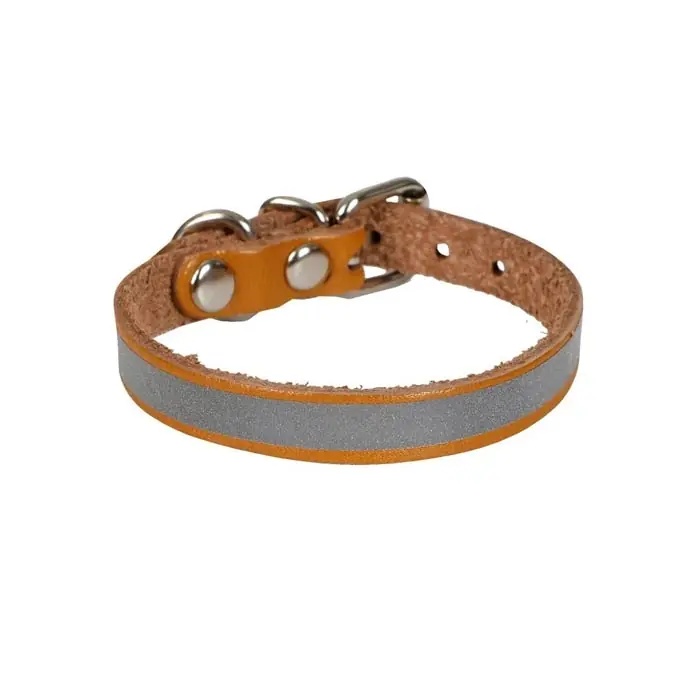 CATTİE REFLEKTÖRLÜ DERİ KEDİ BOYUN TASMASI MEDİUM 1X20-23CM