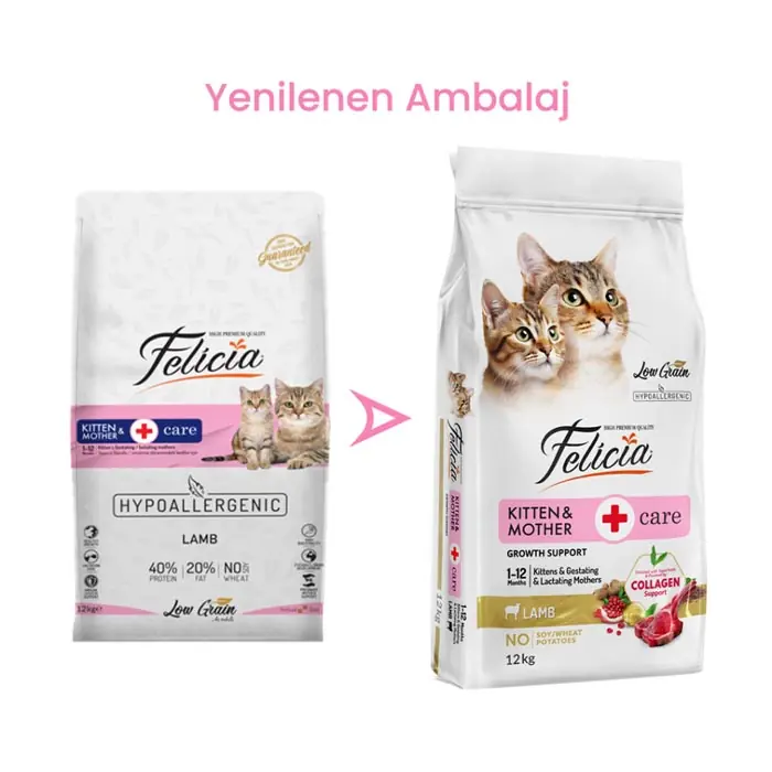 FELİCİA AZ TAHILLI KUZU ETLİ HYPOALLERGENİC ANNE VE YAVRU KEDİ MAMASI 12 KG
