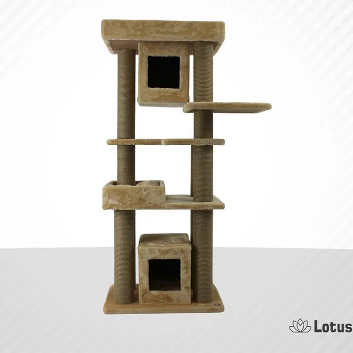 LOTUS BRÜKSEL BAL RENGİ KEDİ TIRMALAMA