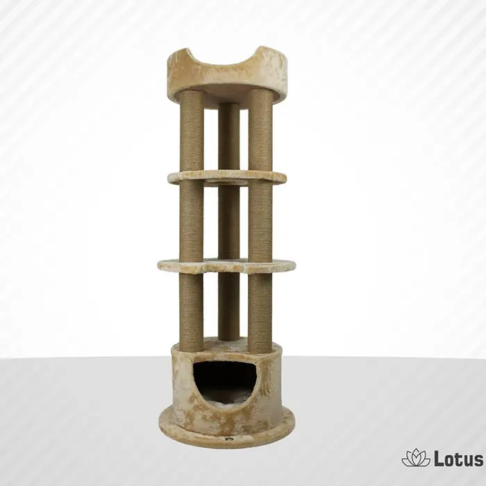 LOTUS DUBAİ BAL RENGİ KEDİ TIRMALAMA