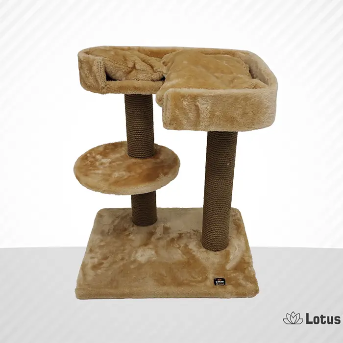 LOTUS PADUA BAL RENGİ KEDİ TIRMALAMA