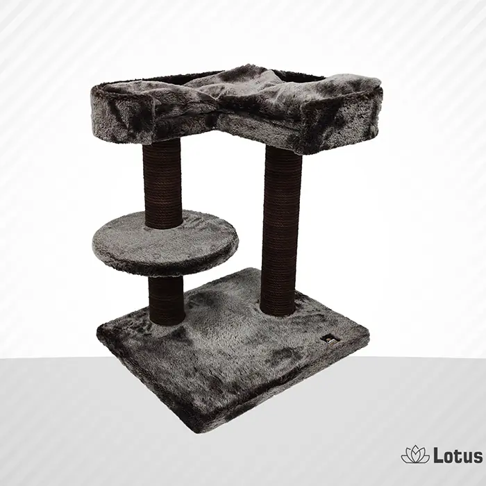 LOTUS PADUA KAHVERENGİ KEDİ TIRMALAMA
