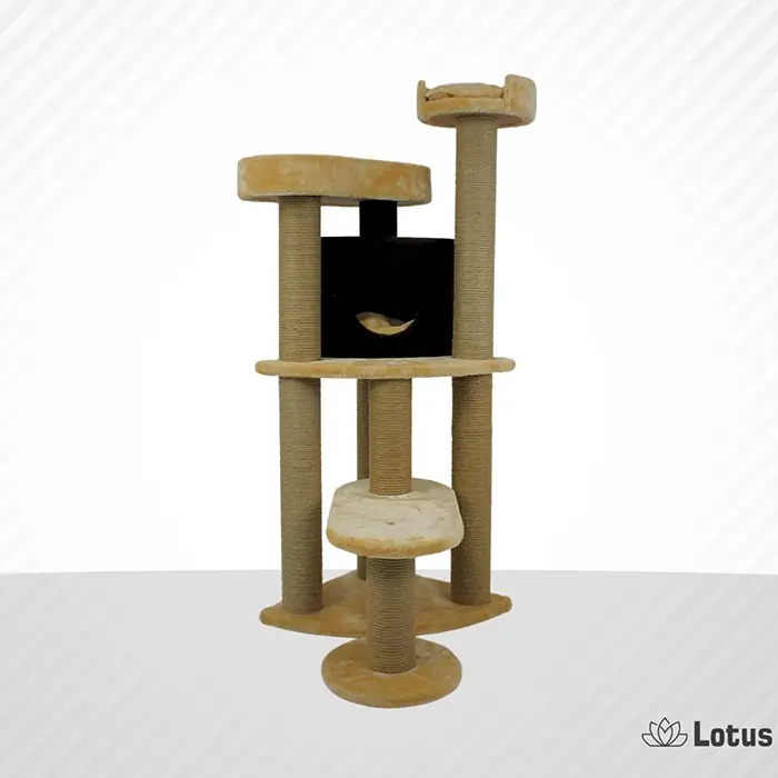LOTUS ROMA BAL RENGİ KEDİ TIRMALAMA