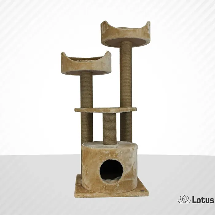 LOTUS VARSOVA BAL RENGİ KEDİ TIRMALAMA