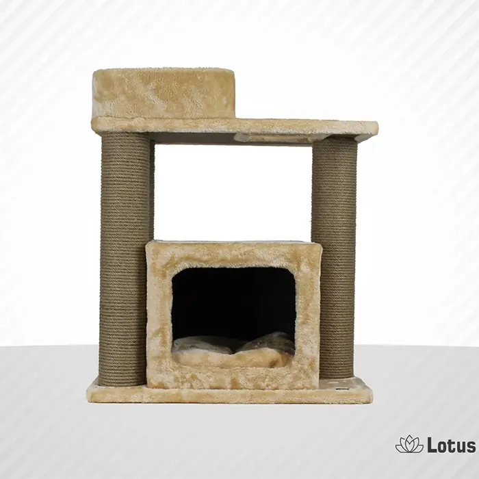 LOTUS VİLNİUS BAL RENGİ KEDİ TIRMALAMA