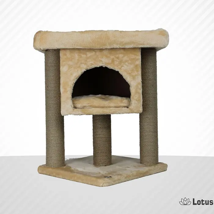 LOTUS İZMİR BAL RENGİ KEDİ TIRMALAMA