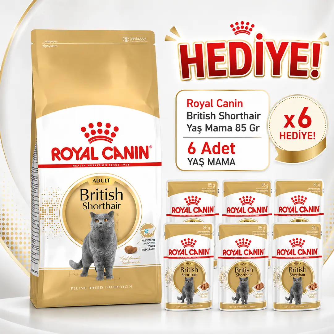 ROYAL CANİN BRİTİSH SHORTHAİR KEDİ MAMASI 4 KG