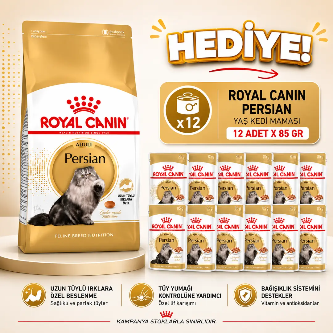 ROYAL CANİN PERSİAN İRAN KEDİLERİNE ÖZEL KURU MAMA 10 KG