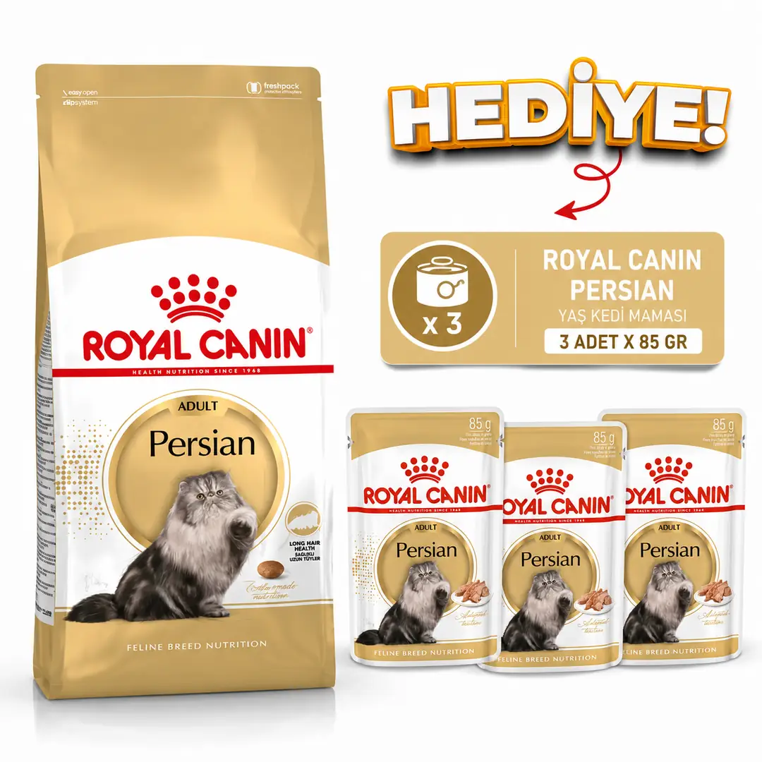 ROYAL CANİN PERSİAN İRAN KEDİLERİNE ÖZEL KURU MAMA 2 KG