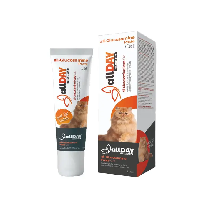 ALLDAY GLUCOSAMİNE PASTE KEDİ VİTAMİNİ 100GR