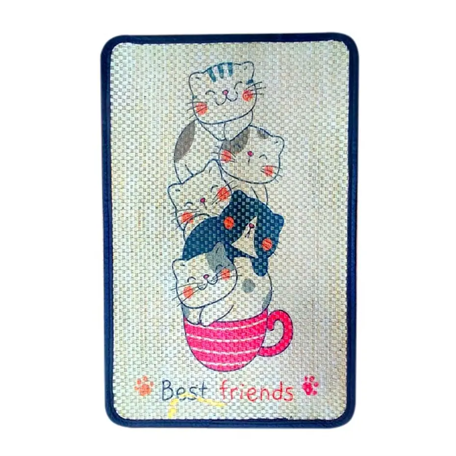 PET GROSS KÜÇÜK BOY KEDİ TIRMALAMA PASPASI 37X58CM