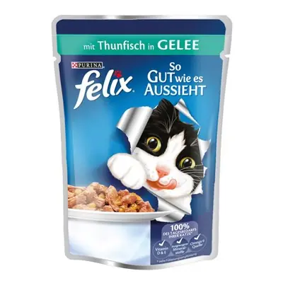 PURİNA FELİX TON BALIKLI KEDİ ISLAK MAMASI 100 GR