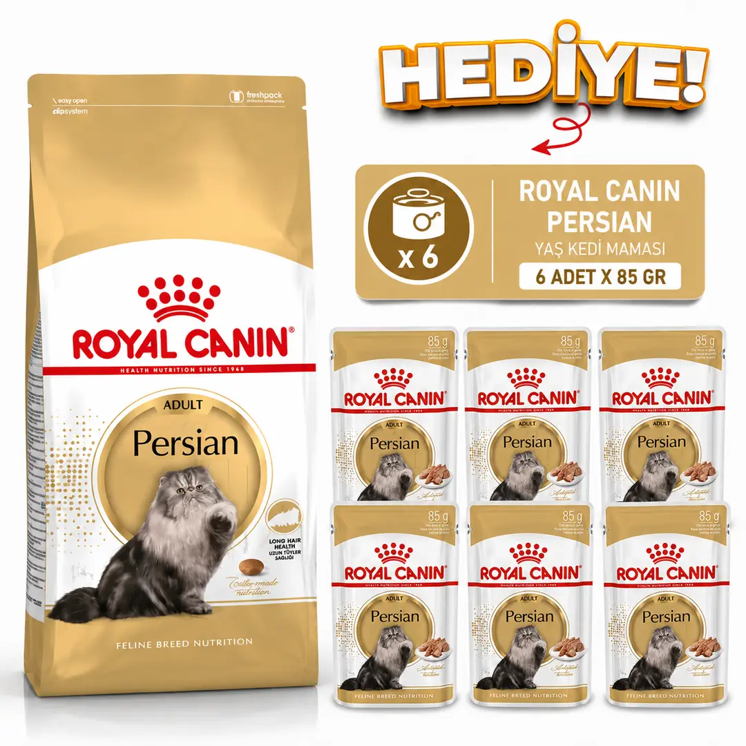 ROYAL CANİN PERSİAN İRAN KEDİLERİNE ÖZEL KURU MAMA 4 KG