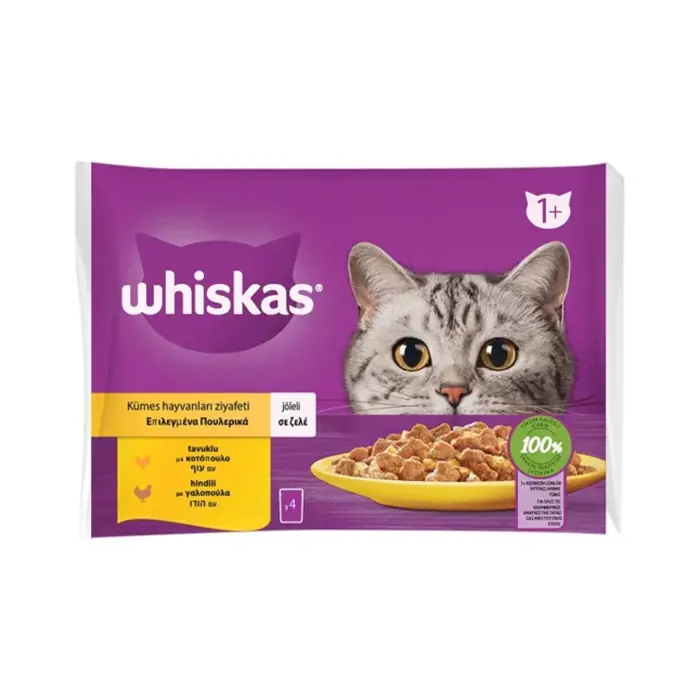 WHİSKAS POUCH JÖLE İÇİNDE TAVUKLU VE HİNDİLİ YETİŞKİN KEDİ KONSERVESİ 85GR (4'LÜ)