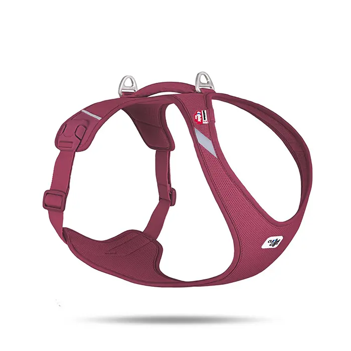 CURLİ BELKA HARNESS AİR-MESH KÖPEK GÖĞÜS TASMASI RUBY XLARGE