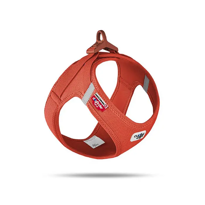 CURLİ VEST HARNESS CLASP AİR-MESH KÖPEK GÖĞÜS TASMASI SUN ORANGE LARGE