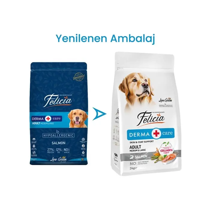 FELİCİA AZ TAHILLI YETİŞKİN SOMONLU MEDİUM LARGE BREED HYPOALLERGENİC KÖPEK MAMASI 3 KG