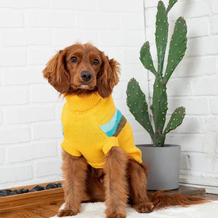 GF PET ALPİNE KÖPEK SÜVETERİ
