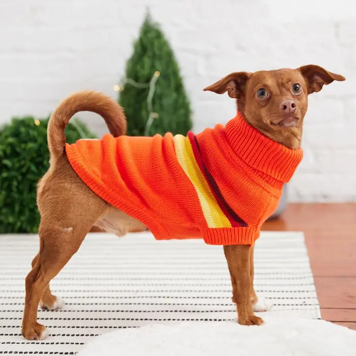 GF PET RETRO KÖPEK SÜVETERİ