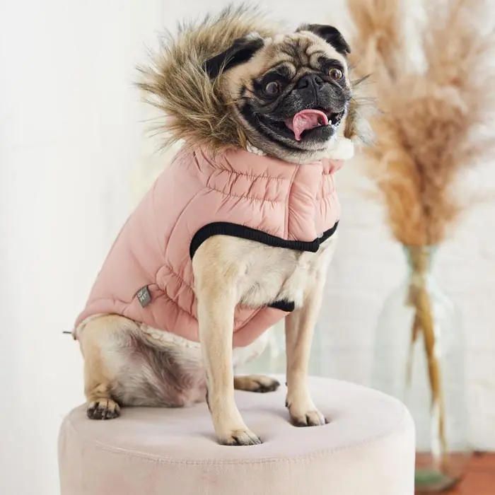 GF PET URBAN PARKA KÖPEK MONTU