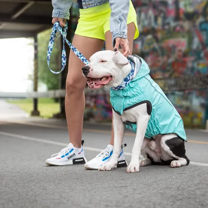 GF PET ÇİFT TARAFLI GİYDİRİLEBİLEN KÖPEK YAĞMURLUĞU
