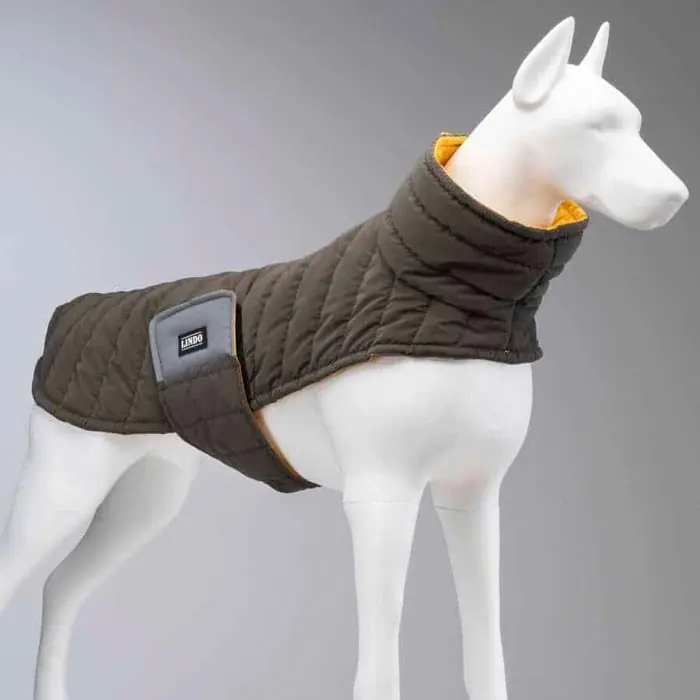 LİNDO AİR PUFF MANGO KÖPEK MONTU