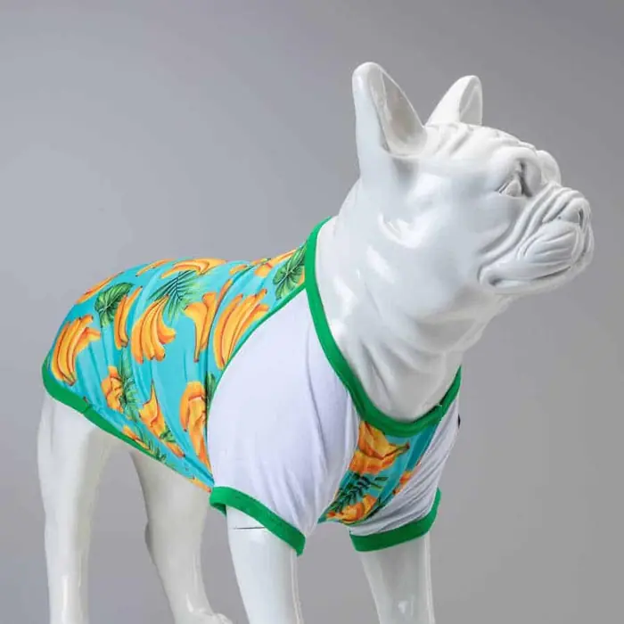 LİNDO BANANA KÖPEK TİŞÖRTÜ