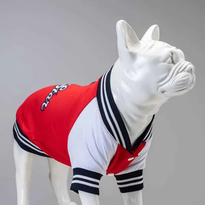 LİNDO COLLEGE ALLSTAR KÜÇÜK, ORTA VE BÜYÜK IRK KÖPEK SWEATSHİRT