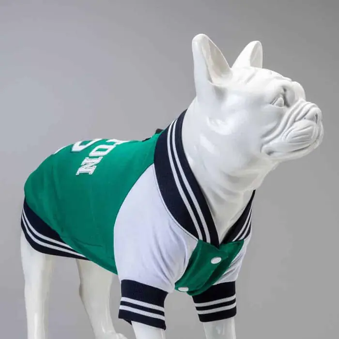LİNDO COLLEGE BOSTON KÜÇÜK, ORTA VE BÜYÜK IRK KÖPEK SWEATSHİRT