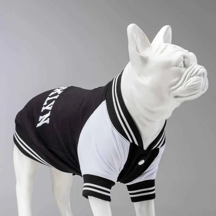 LİNDO COLLEGE BROOKLYN KÜÇÜK ORTA VE BÜYÜK IRK KÖPEK SWEATSHİRT