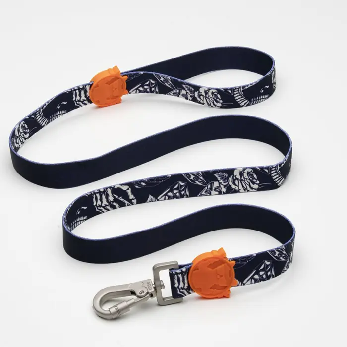 LİNDO KÖPEK GEZDİRME TASMASI LARGE 25MM-120CM