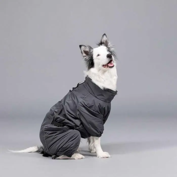 LİNDO QUATTRO VOİD KÖPEK YAĞMURLUĞU