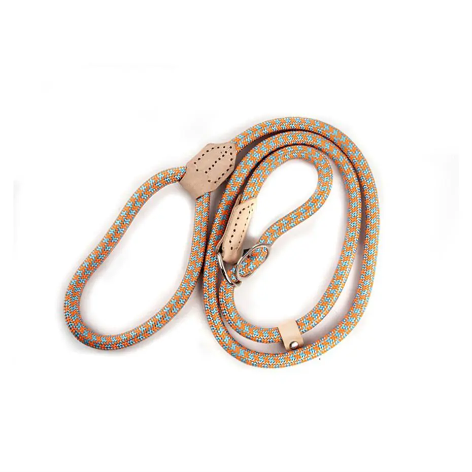 LİON PET FİTİL KÖPEK GEZDİRME 1.2X1.4M