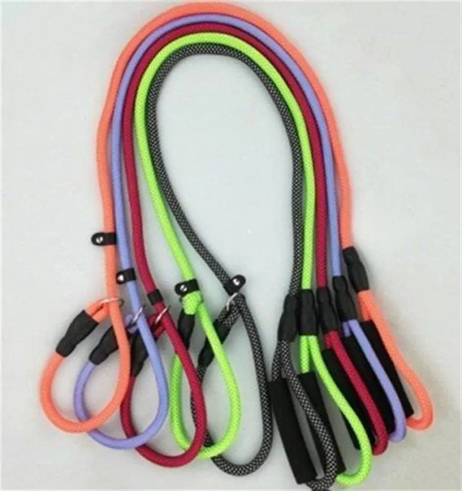 LİON PET KÖPEK GEZDİRME 1,2CMX1,5M