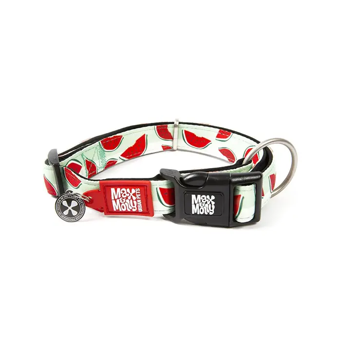 MAX & MOLLY SMART ID WATERMELON KÖPEK BOYUN TASMASI LARGE