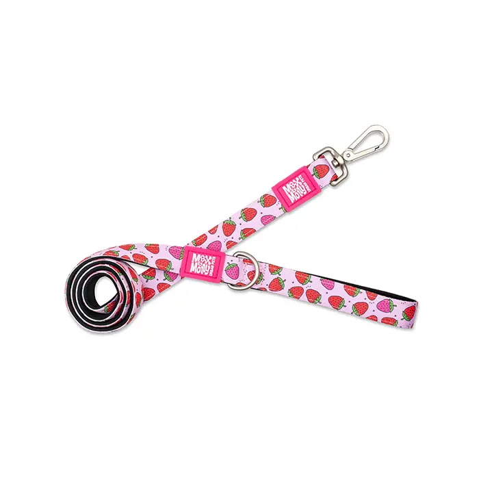 MAX & MOLLY STRAWBERRY DREAM KÖPEK GEZDİRME KAYIŞI XSMALL