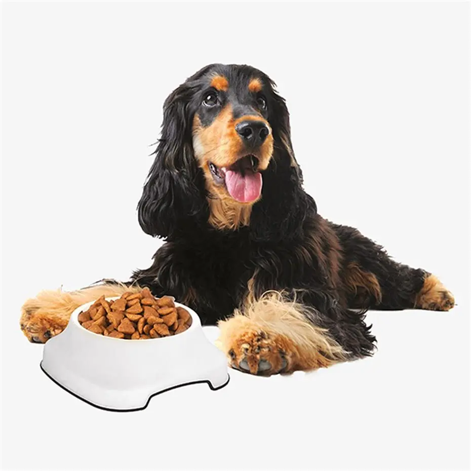 PET PLAST'ART ORTA VE BÜYÜK IRK PT255 KÖPEK MAMA/SU KABI (2 LT - 28X28X10,5 CM)