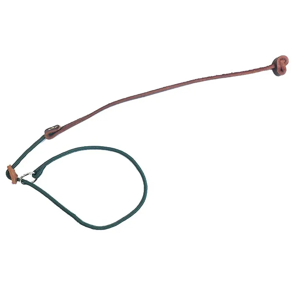 PETGROSS STOPLU KISA EĞİTİM TASMASI 105 CM