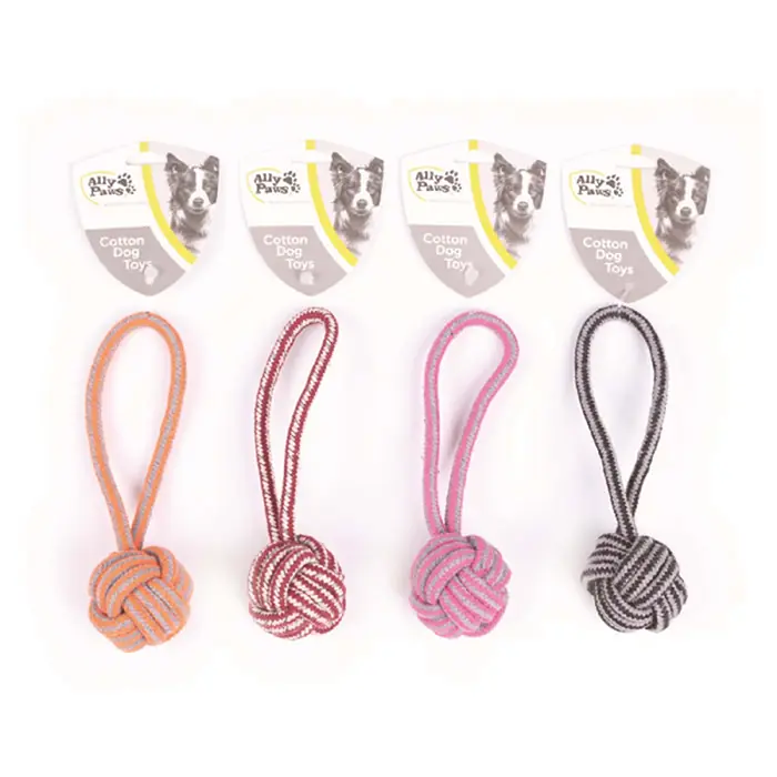 ALLY PAWS DİŞ İPİ KÖPEK OYUNCAĞI 20CM