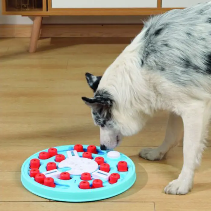 M-PETS BRAİNY DA VİNCİ PUZZLE KÖPEK ZEKA OYUNCAĞI 3.SEVİYE