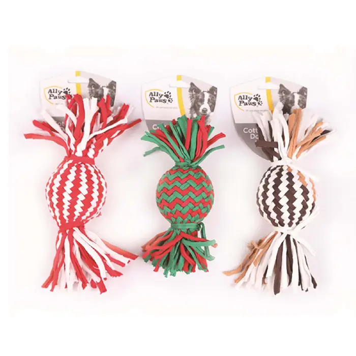 ALLY PAWS DİŞ İPİ KÖPEK OYUNCAĞI 20CM