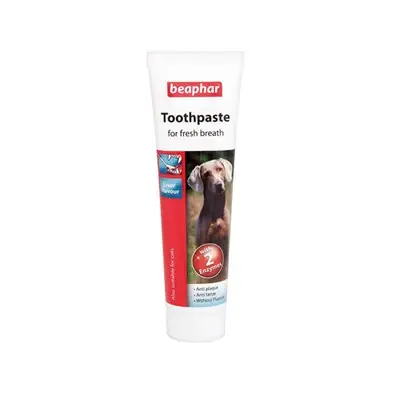 BEAPHAR DİŞ MACUNU 100 ML
