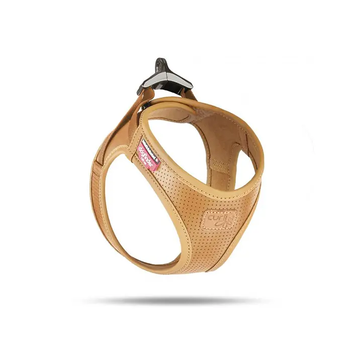 CURLİ APPLE LEATHER ELMA LİFLERİNDEN YAPILMIŞ BİTKİSEL DERİ KÖPEK TASMASI KAHVERENGİ SMALL