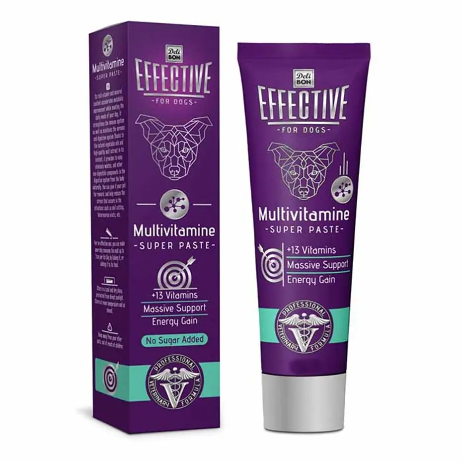 EFFECTİVE MULTİVİTAMİNE SUPER KÖPEK PASTASI 100G