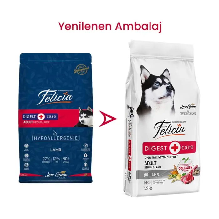 FELİCİA AZ TAHILLI YETİŞKİN KUZULU MEDİUM LARGE BREED HYPOALLERGENİC KÖPEK MAMASI 15 KG